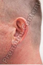 Ear Man White Average